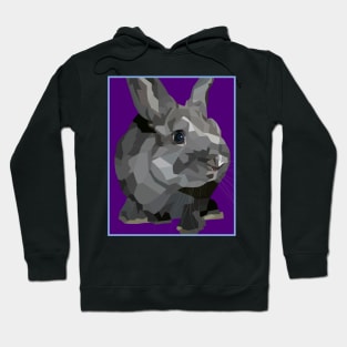 Black and Grey Bunny Rabbit Hoodie